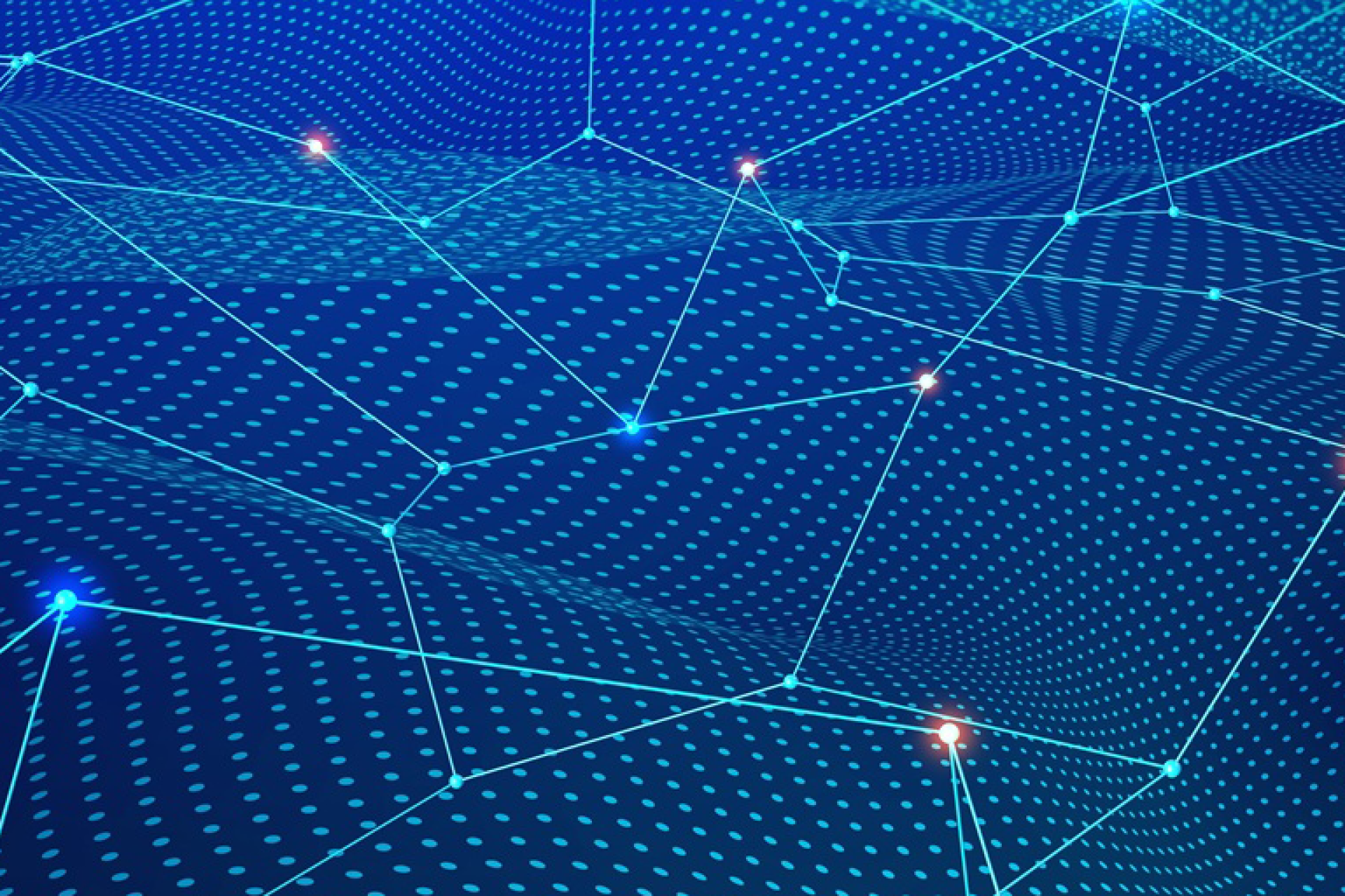 The Open Source Community: From Formation to Professionalisation