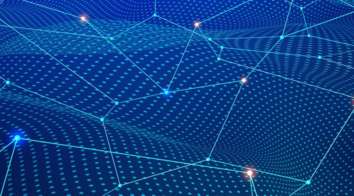 The Open Source Community: From Formation to Professionalisation